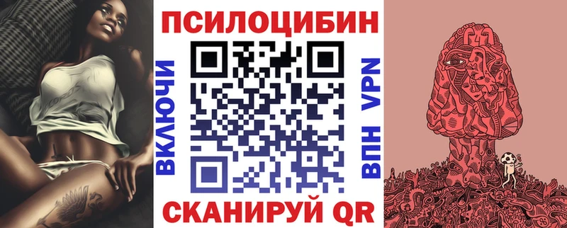 Псилоцибиновые грибы Psilocybe  Черемхово 