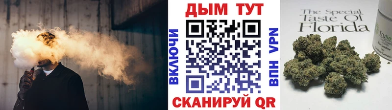 продажа наркотиков  Черемхово  блэк спрут tor  Конопля ГИДРОПОН 